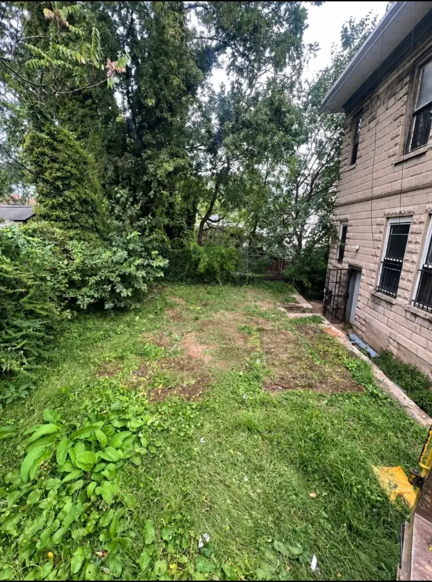 Open yard beside a house