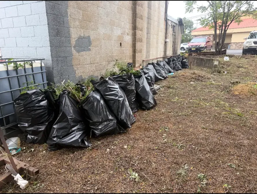 Bagged debris lined up outside a building